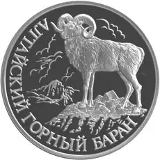 Монета «Алтайский горный баран» — серебро, обзор и характеристики — аверс