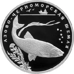 Азово-черноморская шемая — серебряная монета 2 рубля 2008, Красная книга — аверс
