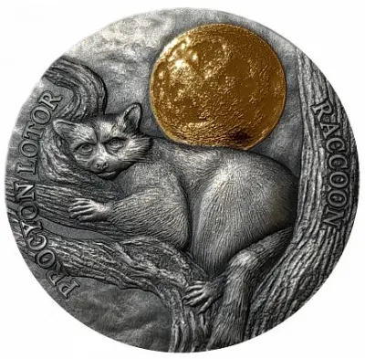 Монета «Енот. Дикая природа в лунном свете» — Гана, 0,5 унции серебра 2021 — аверс
