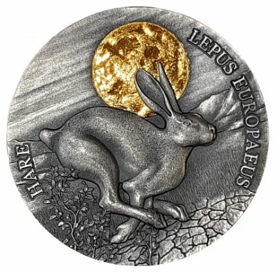 Монета «Заяц. Дикая природа в лунном свете» — Гана, 0,5 унции серебра 2021 — аверс