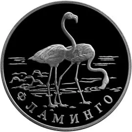 Монета «Фламинго» — памятная монета с изображением фламинго — аверс