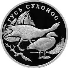 Монета «Гусь сухонос» 2006 — серебро, серия «Красная книга» 1 рубль | КОИНРУС — аверс
