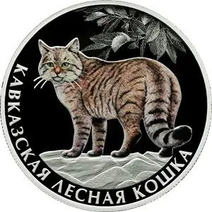 Монета 2 рубля Кавказская лесная кошка 2026 — серебро, серия Красная книга — аверс