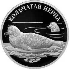 Монета «Кольчатая нерпа» 1 рубль 2007: серебро, серия «Красная книга» — аверс