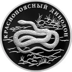 Монета «Краснопоясный динодон» 1 рубль 2007, серебро | КОИНРУС — аверс
