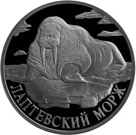 Серебряная монета 1 рубль «Лаптевский морж» 1998 года — обзор — аверс