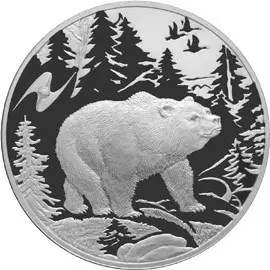 Монета Медведь — серебряные 3 рубля 2009 года, пруф, СПМД | КОИНРУС — аверс