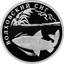 Монета «Волховский сиг» 1 рубль 2005 — серебро, Красная книга — аверс