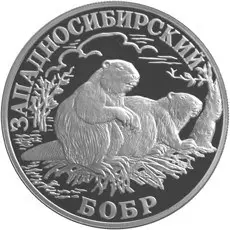 Монета «Западносибирский бобр» 1 рубль 2001: серебро, «Красная книга» — аверс