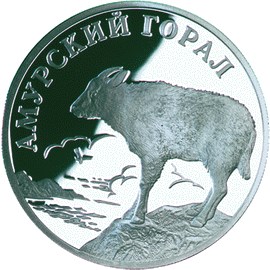 Амурский горал