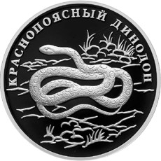 Краснопоясный динодон