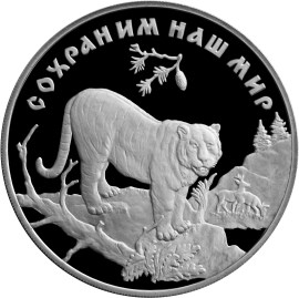 Амурский тигр
