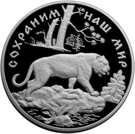 Амурский тигр