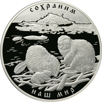 Речной бобр