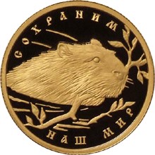 Речной бобр