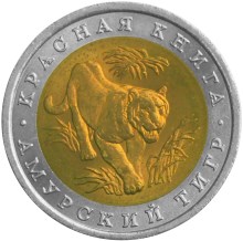 Амурский тигр