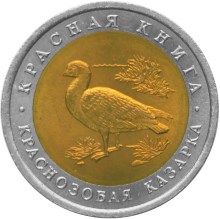Краснозобая казарка