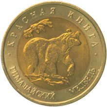 Гималайский медведь