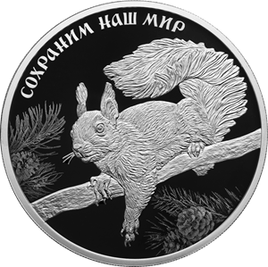 "Белка обыкновенная" 31,1 г. ч. серебра.  Россия